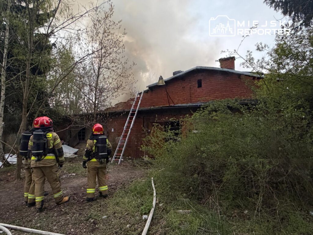 Grupa strażaków w hełmach obserwuje pożar budynku, z którego unosi się dym, w otoczeniu zarośli.