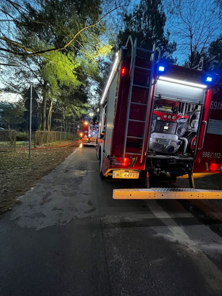 Wozy strażackie zaparkowane w lesie przy drodze, w tle widoczne migające światła.