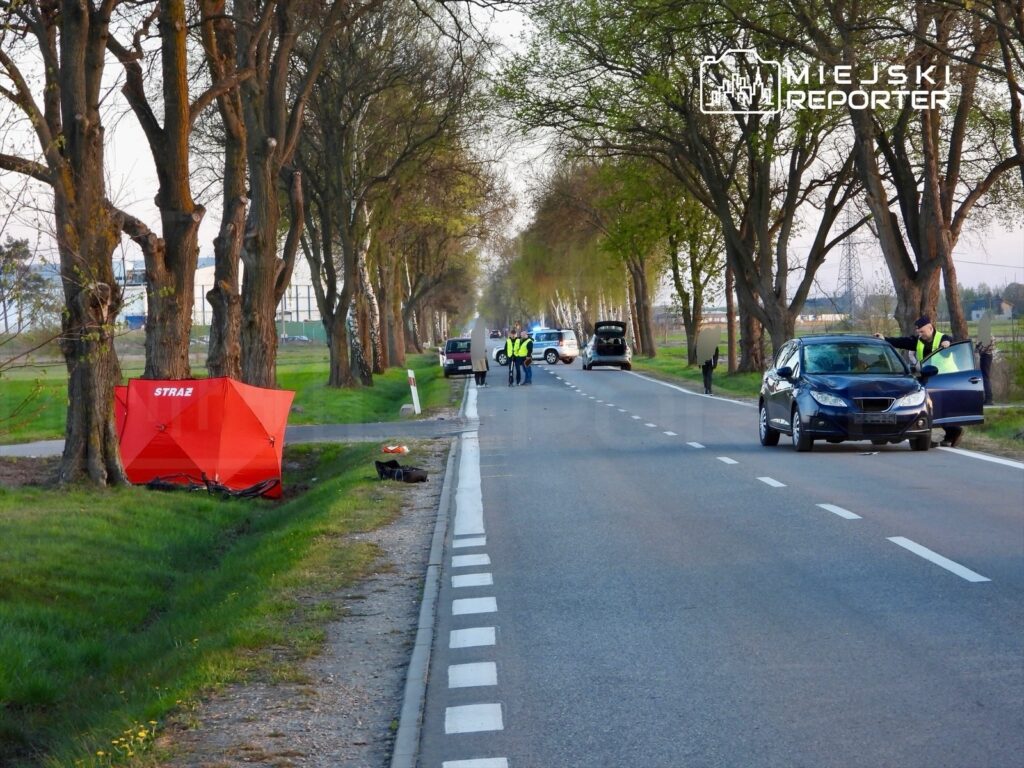 Na drodze stoją funkcjonariusze w kamizelkach odblaskowych, obok czerwony namiot z napisem "STRAŻ".