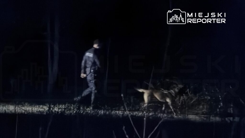 Policjant w mundurze prowadzi psa w ciemnym lesie, oświetlonym jedynie przez latarki.