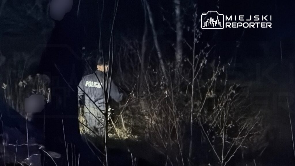 Policjant przeszukuje zarośla w lesie w nocy, oświetlając teren latarką.