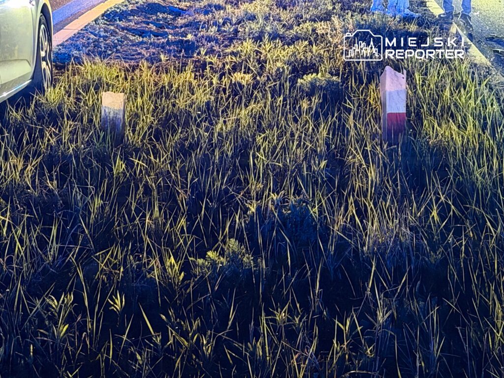 Na poboczu drogi rośnie gęsta trawa, obok widoczne białe i czerwone słupki. W tle stoi samochód osobowy.