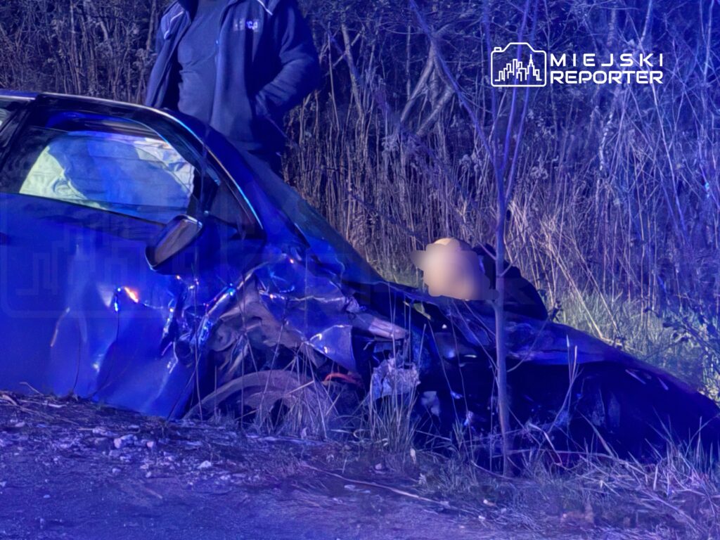 Uszkodzony niebieski samochód stoi na poboczu drogi, obok mężczyzna w ciemnej odzieży. W tle widać zarośla.