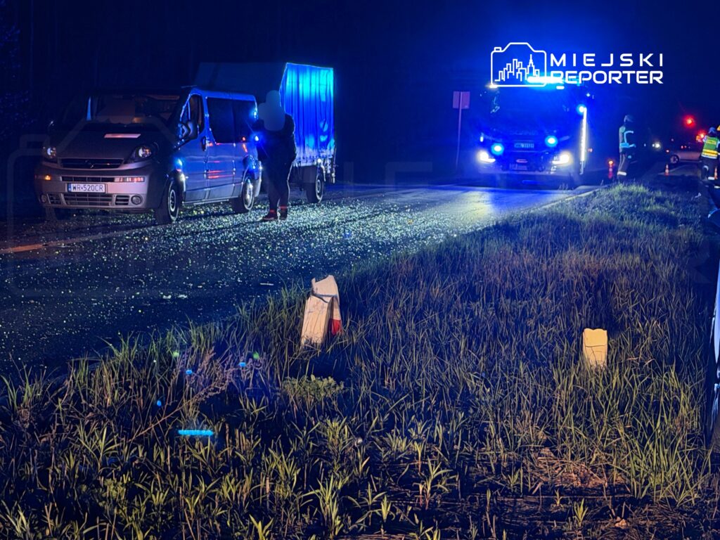 Mężczyzna w odblaskowej kamizelce rozmawia z kierowcą furgonetki na drodze oświetlonej niebieskimi światłami.