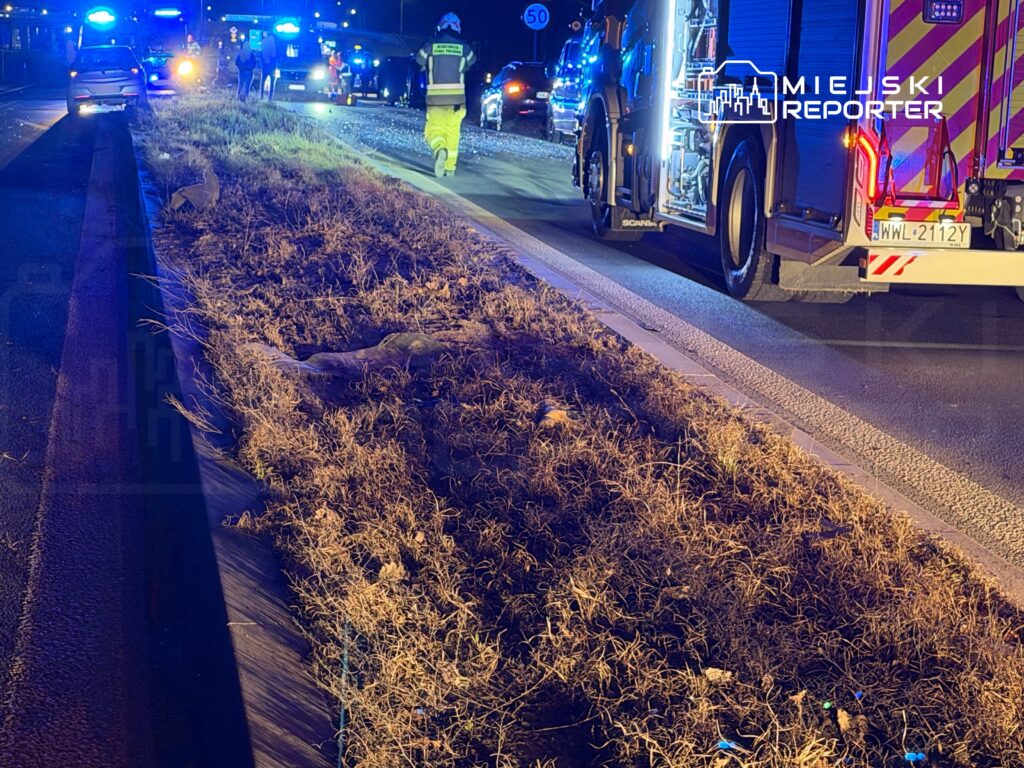 Na drodze przyjeżdżają radiowozy i woz strażacki, a ratownicy pracują nad zabezpieczeniem miejsca zdarzenia.