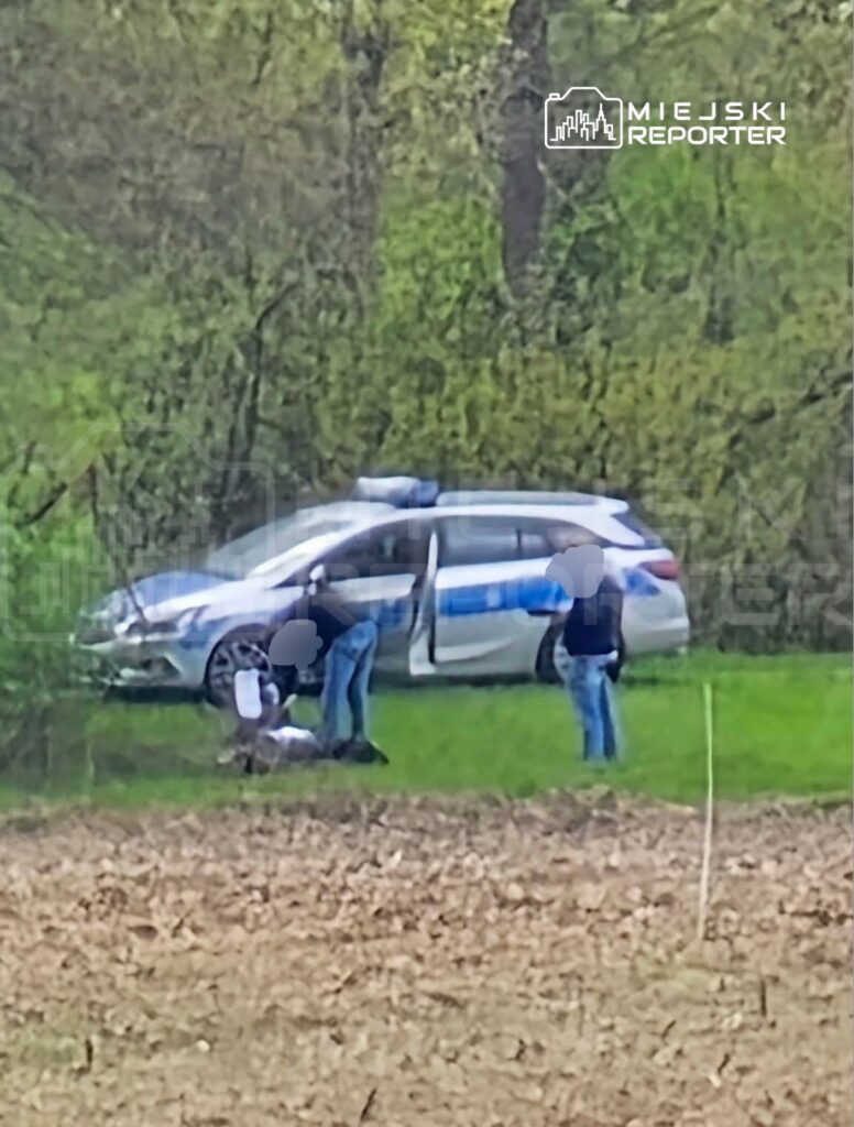 Funkcjonariusze policji badają sytuację na trawie obok radiowozu w lesie.