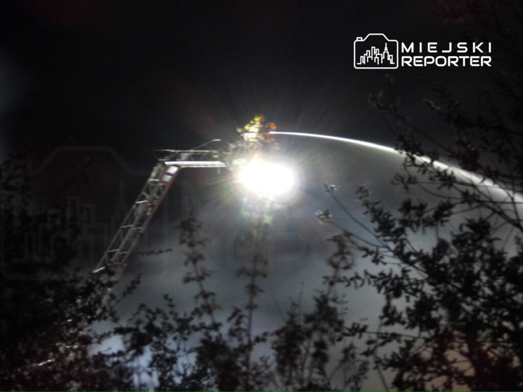 Strażak na drabinie gaśniczej oświetla teren silnym światłem, otoczony przez drzewa w nocy.