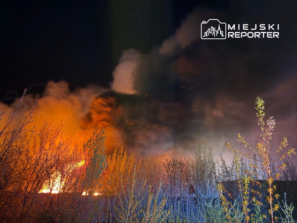 Płonące ognisko z intensywnym ogniem i dymem w ciemnym otoczeniu, otoczone gęstymi krzewami.