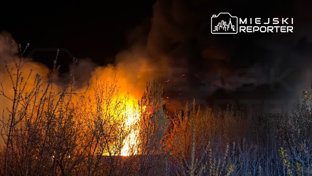 Wysoka płomienie ognia i gęsty dym wydobywają się z za drzew w ciemnej scenerii nocnej.