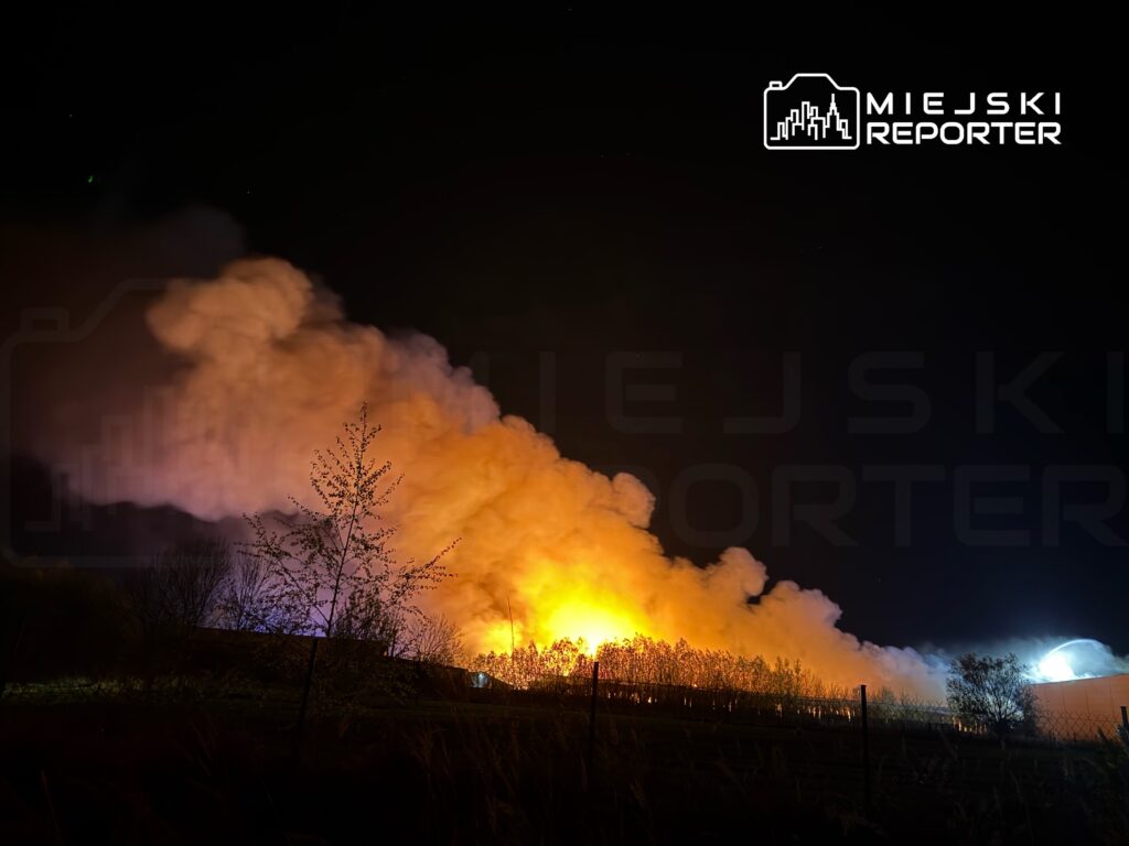 Gęsty, pomarańczowy dym unoszący się nad terenem, gdzie widać ogień oraz zarysy drzew w ciemności.