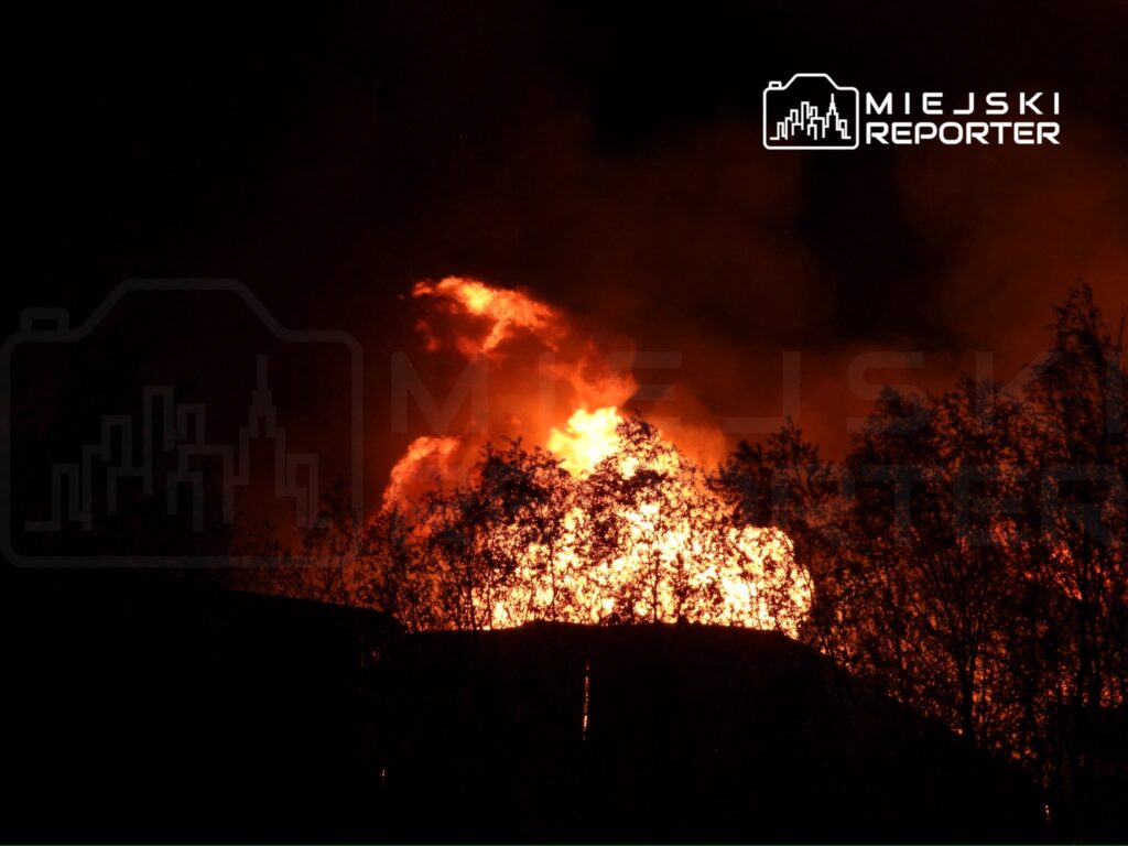 Intensywne płomienie ognia wydobywające się z budynku w nocy, otoczone ciemnym niebem i zaroślami.