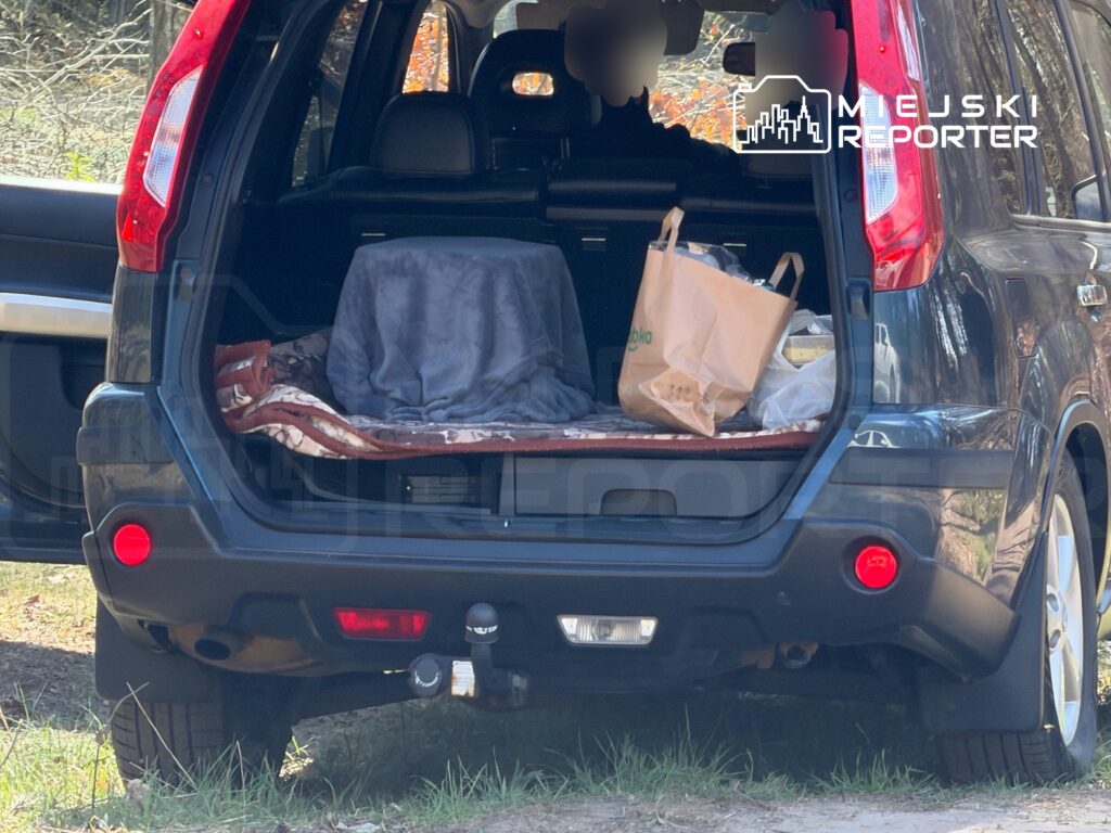 W bagażniku SUV-a leży koc i torby z zakupami, otoczone zieloną trawą w lesistym terenie.