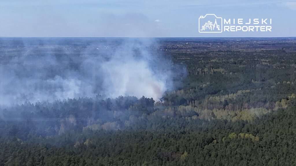 Dym unoszący się nad gęstym lasem, w tle widoczne drzewa i rozległe tereny leśne.