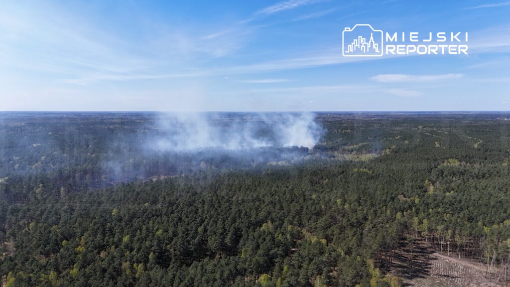 Dym unoszący się nad gęstym lasem iglastym w słoneczny dzień, w tle rozległe tereny leśne.