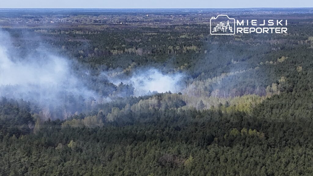 Dym unoszący się nad gęstym lasem, w tle widać zadrzewione wzgórza i błękitne niebo.