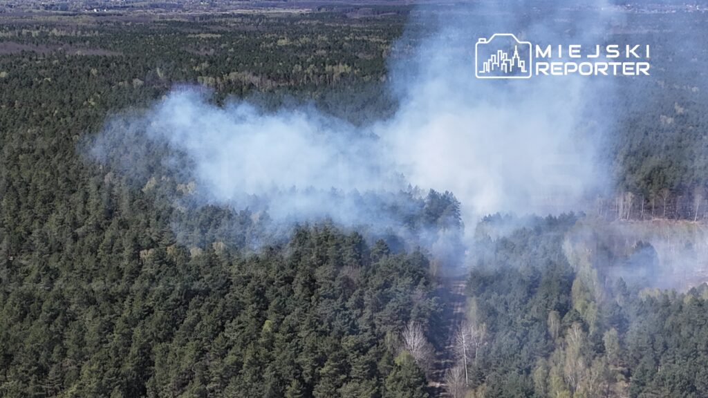 Dym unoszący się nad lasem sosnowym, w tle widoczne drzewa i otwarta przestrzeń.