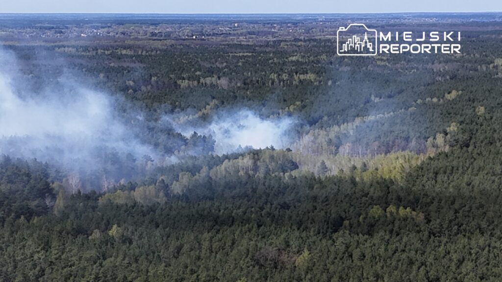 Dym unoszący się nad gęstym lasem, wskazujący na pożar w obszarze leśnym.