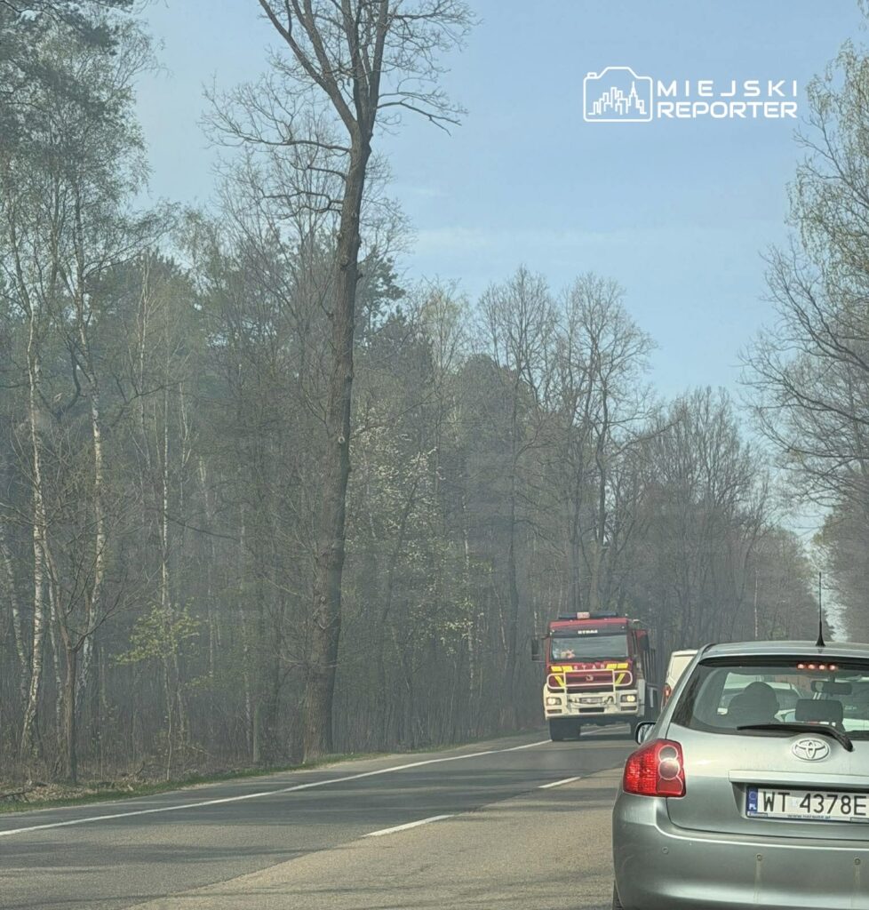 Czerwony wóz strażacki jedzie wzdłuż drogi, obok dymiącego lasu w tle, podczas słonecznego dnia.