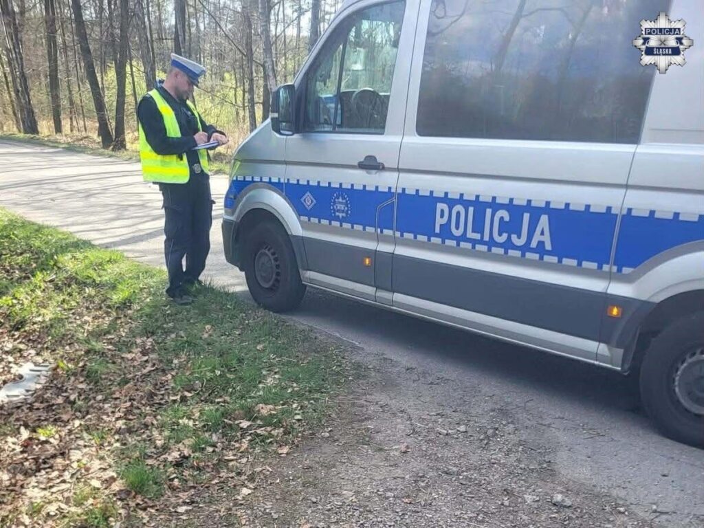 Policjant w kamizelce odblaskowej notuje informacje obok radiowozu na leśnej drodze.