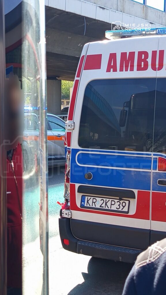 Ambulans z włączonymi światłami sygnalizacyjnymi zaparkowany pod wiaduktem, obok policyjny radiowóz.