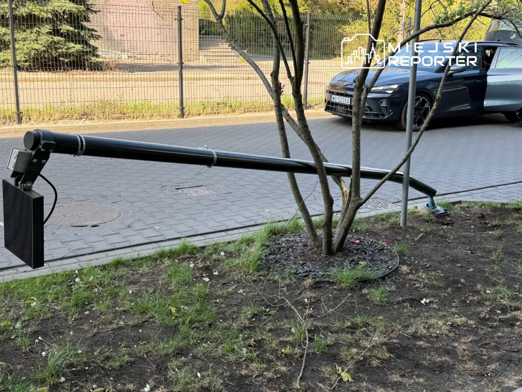 Czarna rura podłączona do urządzenia, przechodząca obok drzewa wzdłuż chodnika przy ulicy.