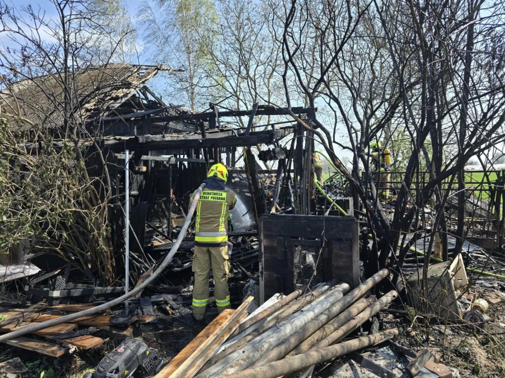 Strażak w żółtym hełmie przeszukuje spalone ruiny domu, otoczony zwęglonymi drzewami i pozostałościami po pożarze.