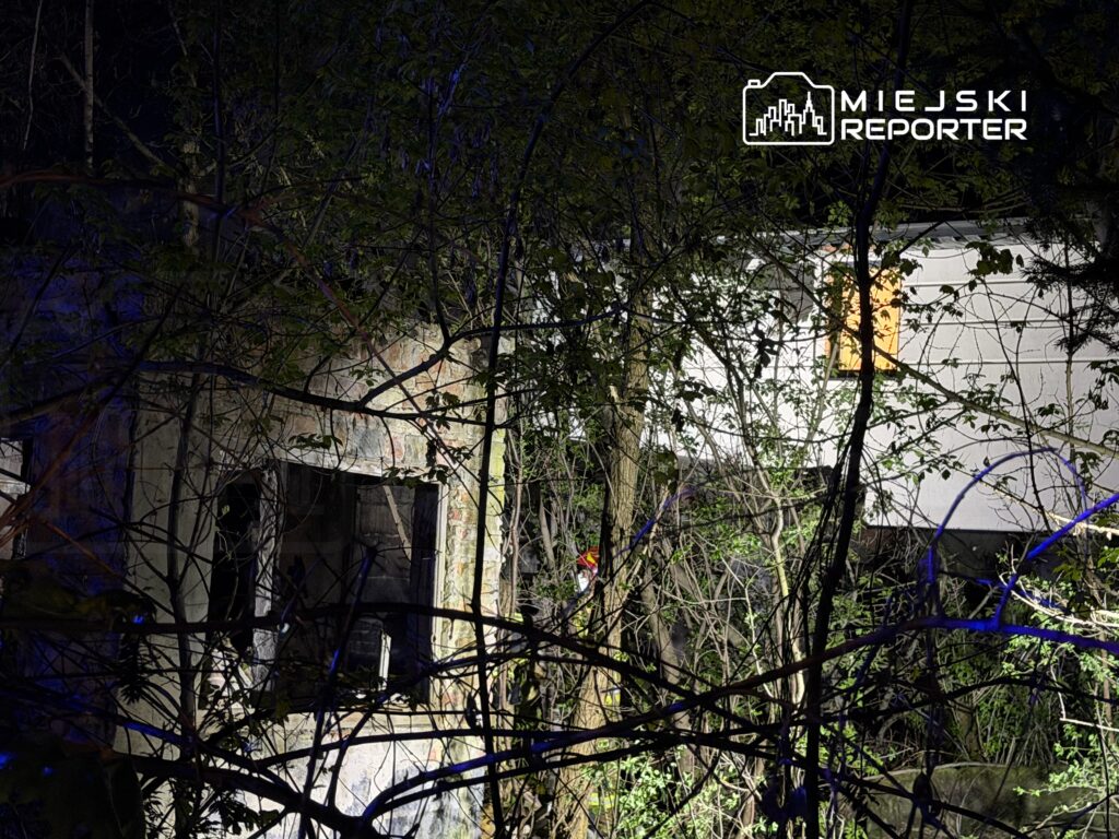 Zarośnięty teren z opuszczonym budynkiem o uszkodzonej elewacji, w tle widoczny dom z podświetlonym oknem.