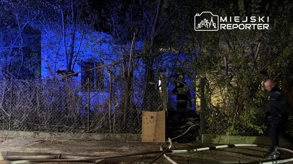 Strażak w mundurze zbliża się do zarośniętej posesji oświetlonej niebieskimi światłami, w tle widoczny budynek.