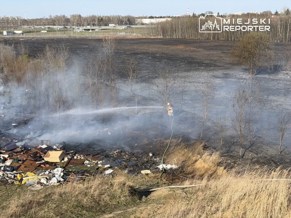 Strażak gaszący pożar w zaroślach, otoczony dymem i popiołem, w tle widoczny spalony teren oraz resztki odpadów.