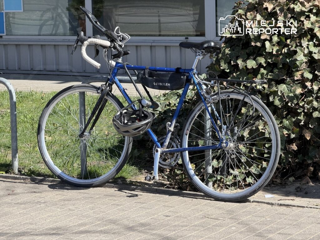 Niebieski rower górski zaparkowany przy metalowym stojaku, obok rosnących krzewów i trawy.