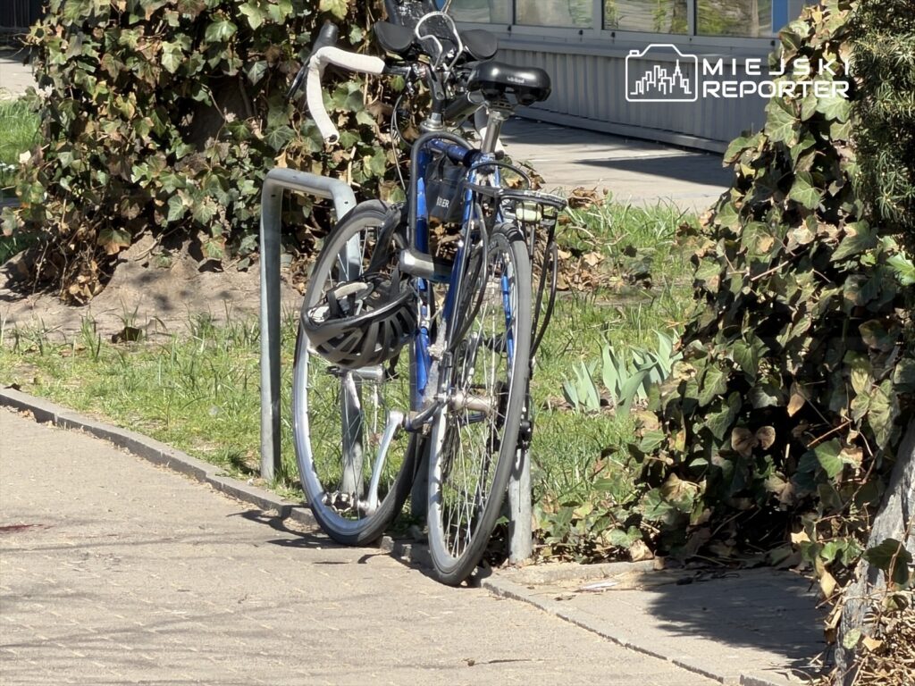 Rower zaparkowany na stojaku, obok krzewy i trawa w miejskim otoczeniu.