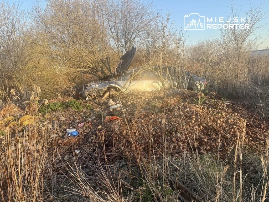 Samochód osobowy w zaroślach, częściowo zasłonięty przez krzewy, otoczony przez śmieci i wyschniętą trawę.