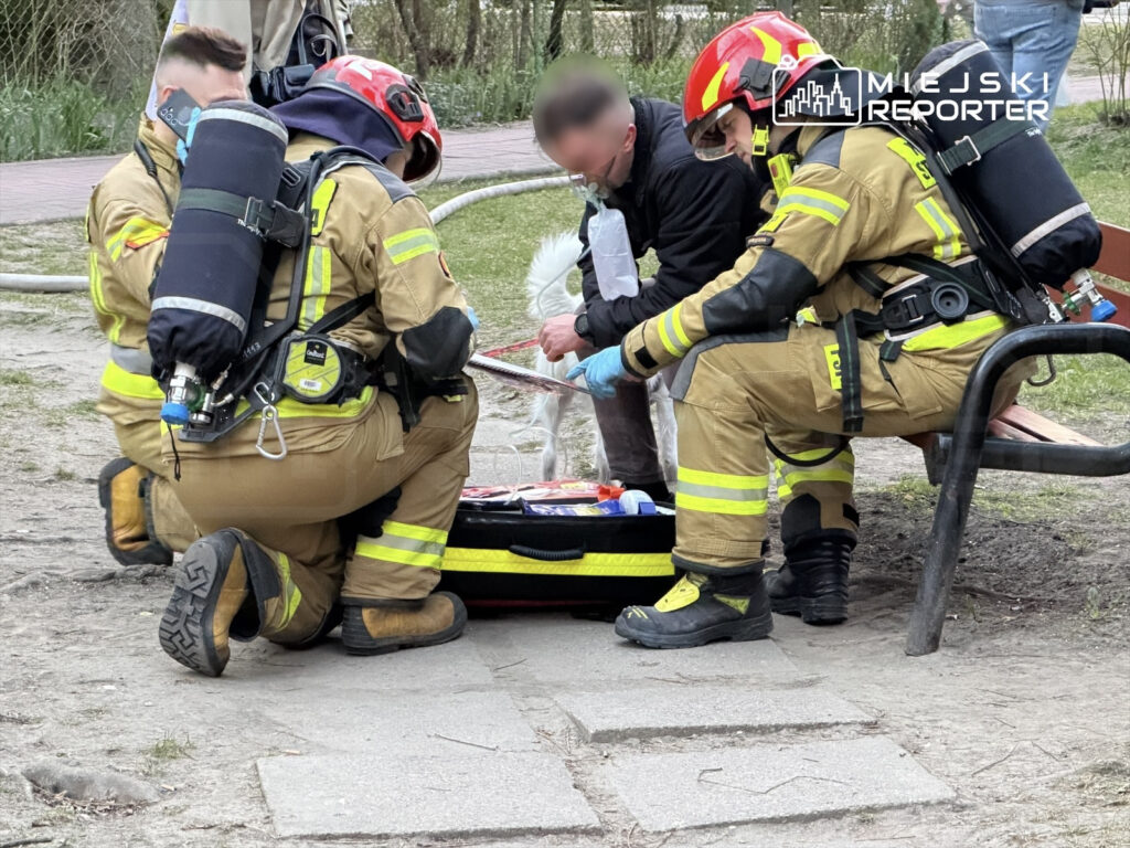 Dwóch strażaków w pełnym umundurowaniu udziela pomocy mężczyźnie siedzącemu na ławce w parku.