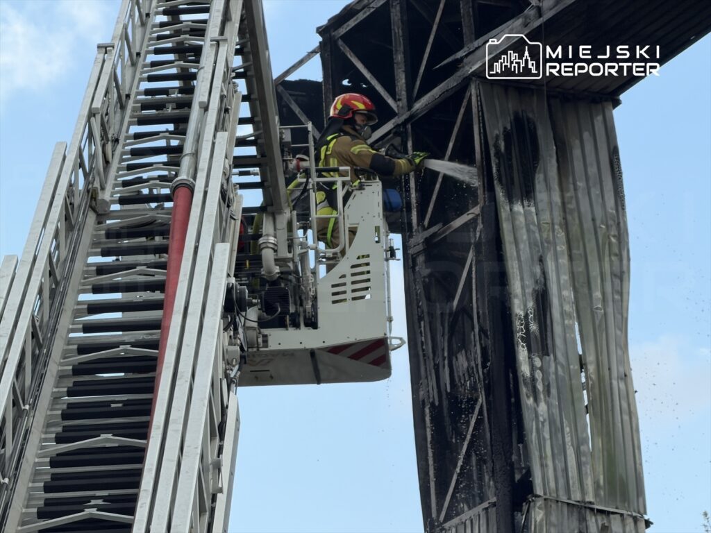 Strażak w hełmie i mundurze, używający węża gaśniczego, gasi pożar na wysokości z drabiny strażackiej.
