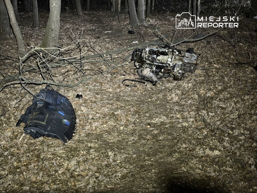 W lesie leży rozbity silnik samochodowy i fragment karoserii, otoczone opadłymi liśćmi i gałęziami.