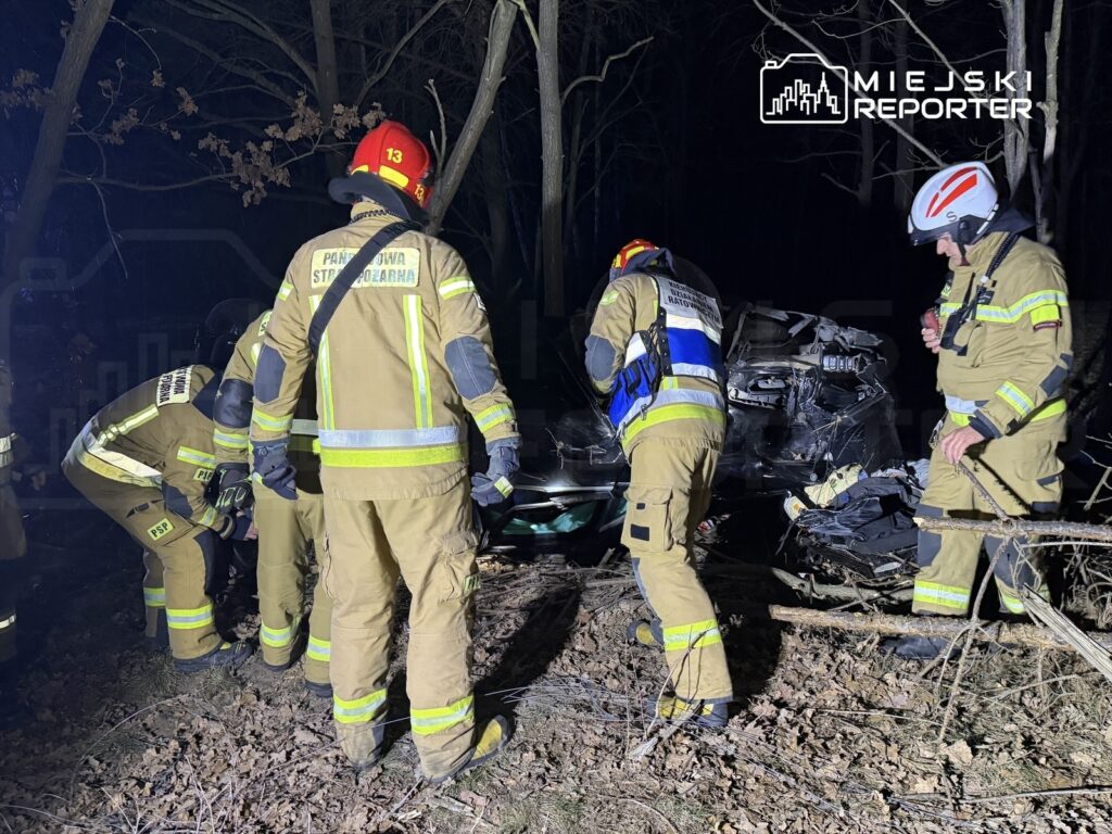 Grupa strażaków w mundurach zabezpiecza miejsce wypadku samochodowego w lesie, przy uszkodzonym pojeździe.