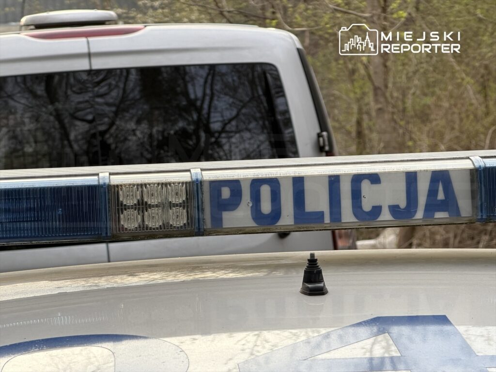 Niebiesko-biała sygnalizacja policyjna zamontowana na dachu radiowozu w lesistym terenie.