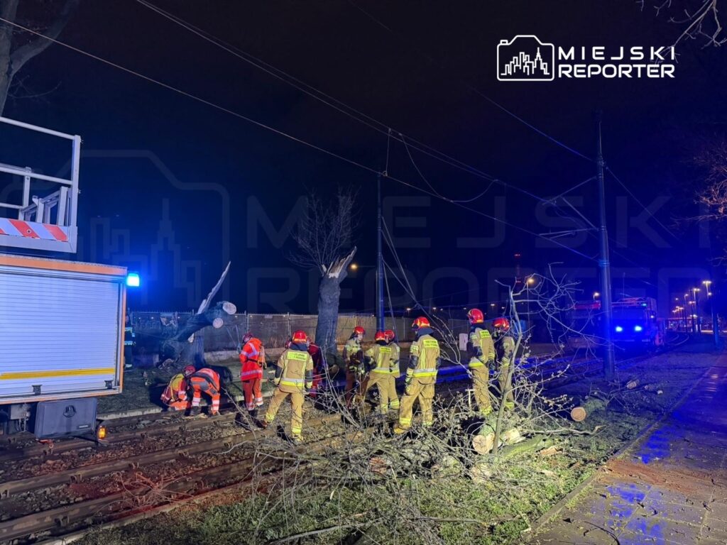 Grupa strażaków w kaskach pracuje przy usuwaniu powalonych drzew obok torów tramwajowych w nocy.
