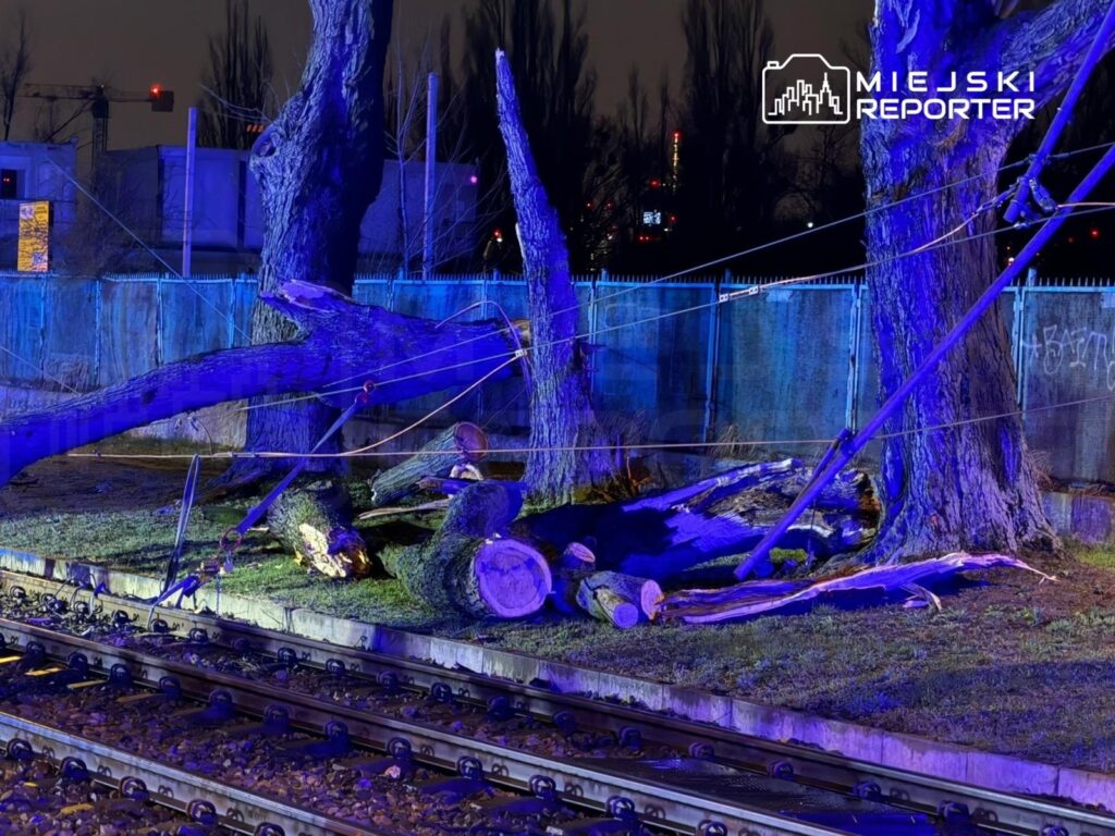 Połamane drzewa leżą obok torów kolejowych, oświetlone niebieskim światłem w nocnej scenerii.