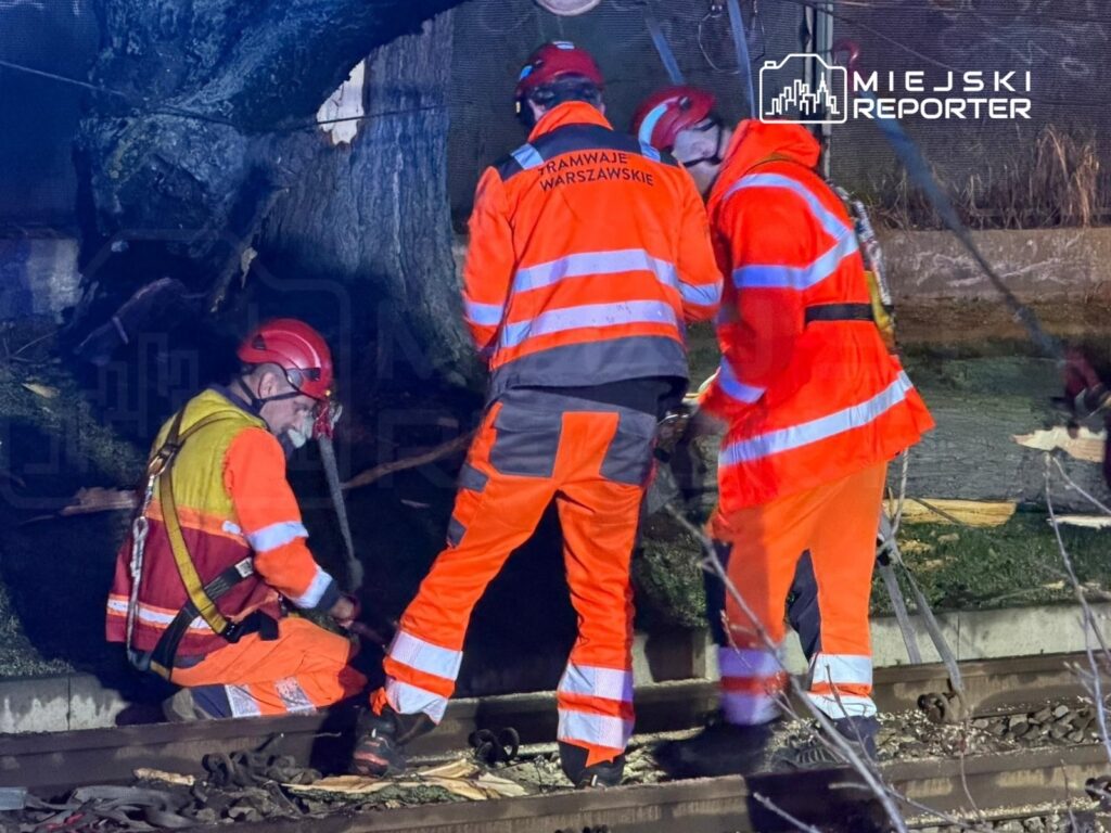 Czterej pracownicy w pomarańczowych kombinezonach i kaskach usuwają powalone drzewo z torów kolejowych w nocy.