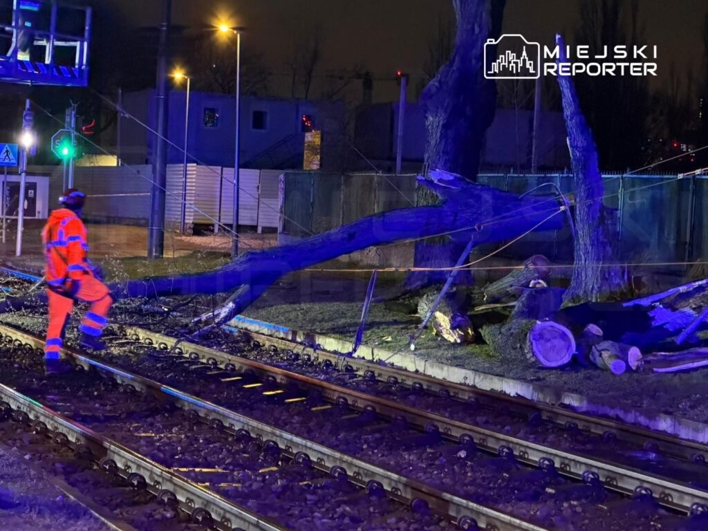 Pracownik w pomarańczowym uniformie sprawdza uszkodzone tory kolejowe po przewróconym drzewie w nocy.