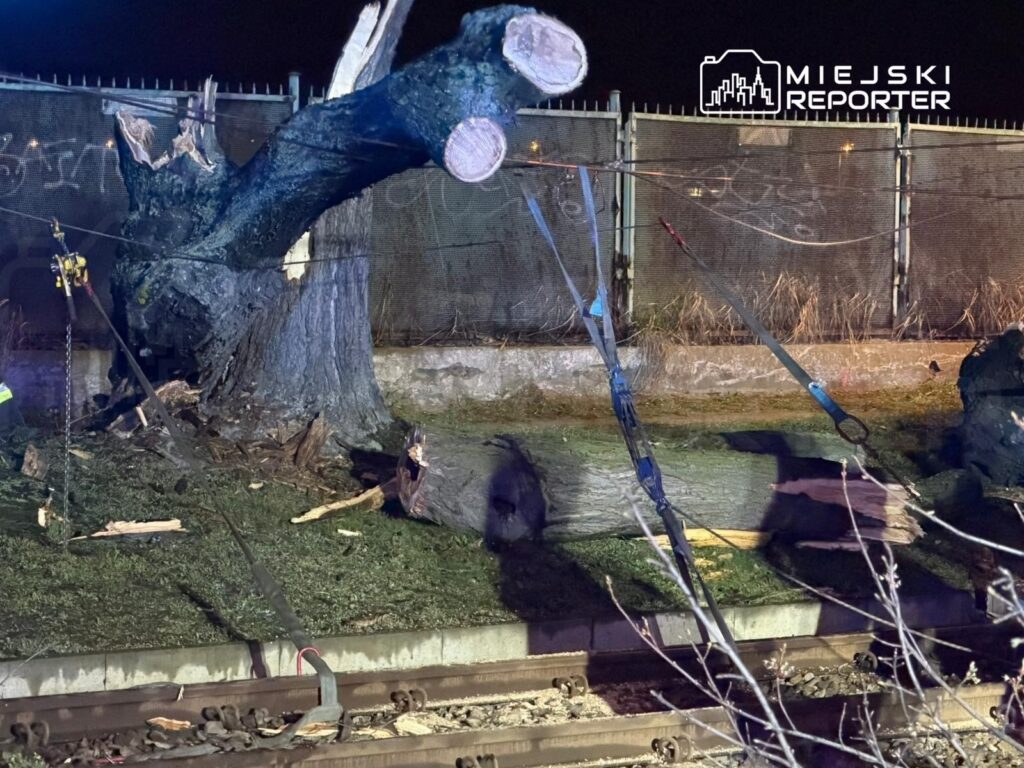 Uszkodzony pień drzewa leży na torach kolejowych, otoczony sprzętem do usuwania, w nocy.
