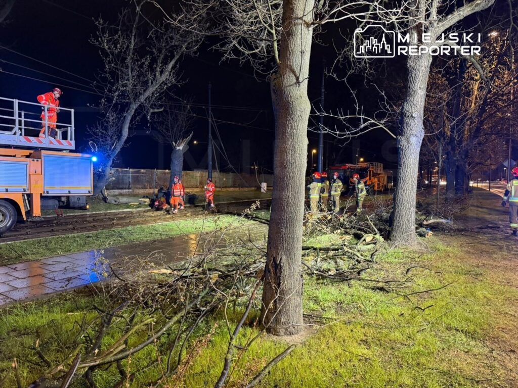 Ratownicy w odblaskowych strojach usuwają powalone gałęzie na oświetlonym chodniku, obok strażackiego wozu.