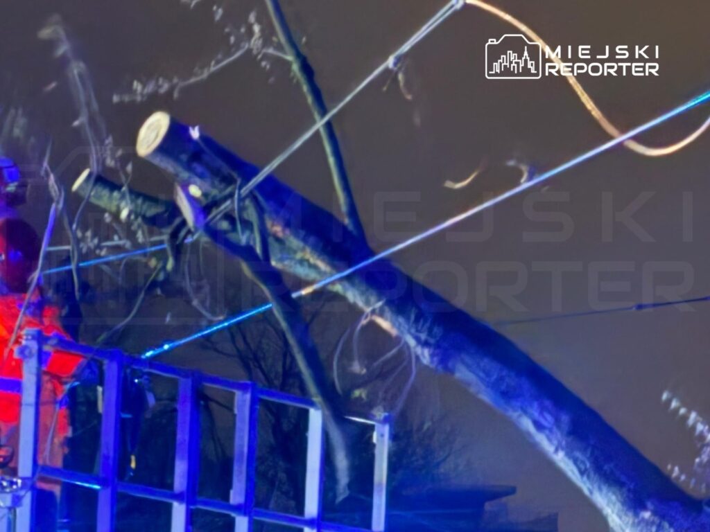 Pracownik w pomarańczowym ubraniu stoi na podnośniku, usuwając powalony pień drzewa w nocy.