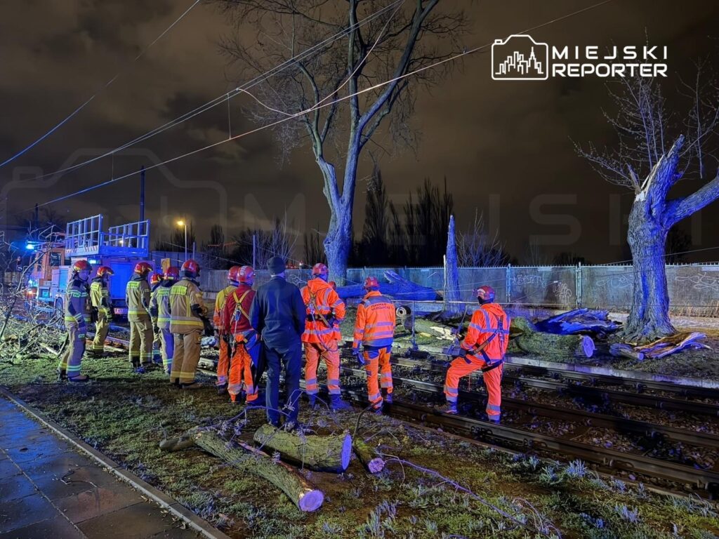 Grupa ratowników w odblaskowych strojach ocenia sytuację po przewróconym drzewie obok torów kolejowych w nocy.