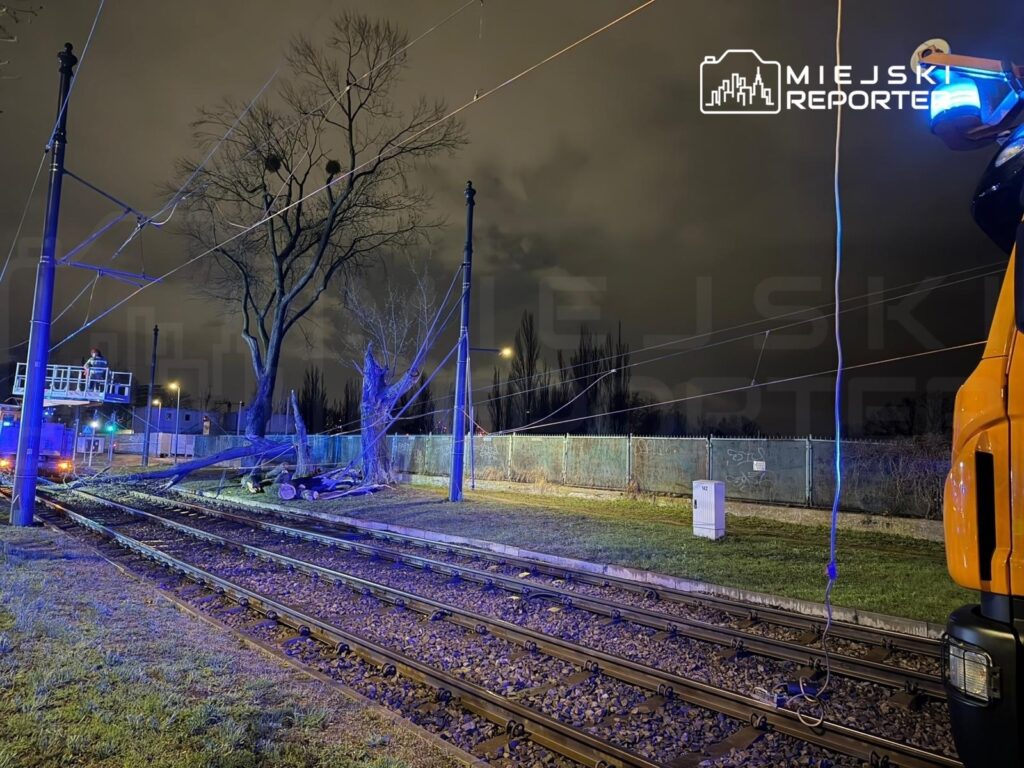 Pracownicy w podnośniku usuwają powalony na torach drzewo w nocnym oświetleniu, obok stoi pojazd techniczny.