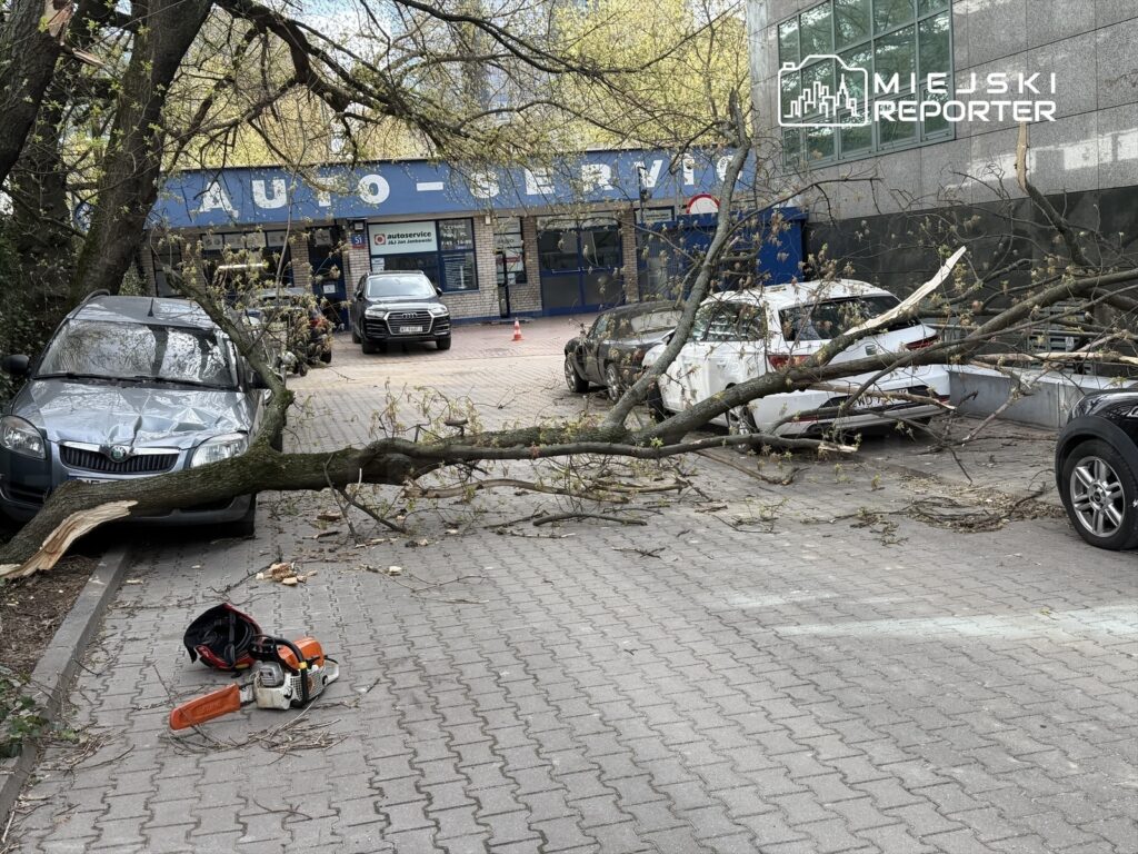 Złamane drzewo leży na zaparkowanych samochodach obok warsztatu samochodowego, w pobliżu leży piła łańcuchowa.