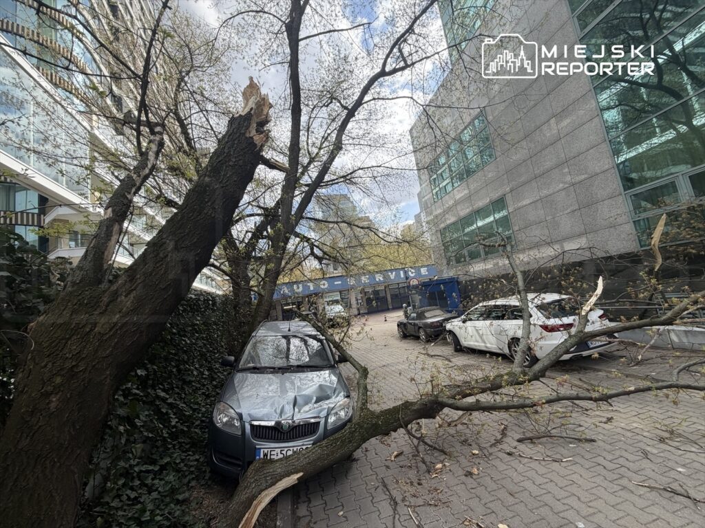 Złamany konar drzewa leży na uszkodzonym samochodzie osobowym w miejskim otoczeniu obok nowoczesnego biurowca.