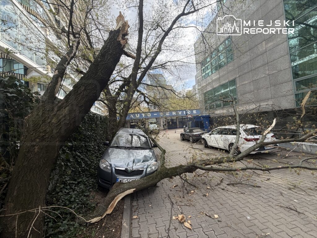 Złamana gałąź leży na chodniku obok zaparkowanego samochodu, w tle nowoczesny biurowiec i warsztat samochodowy.