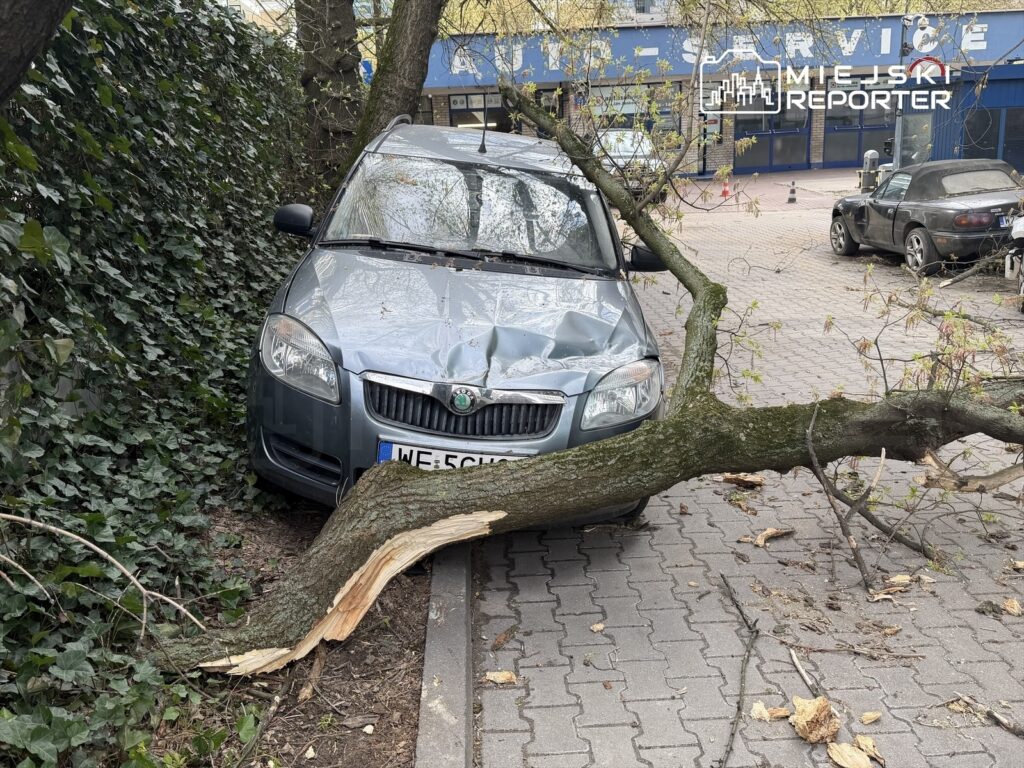 Uszkodzony samochód osobowy z wgniecioną maską, przygnieciony przez złamaną gałąź drzewa na parkingu.